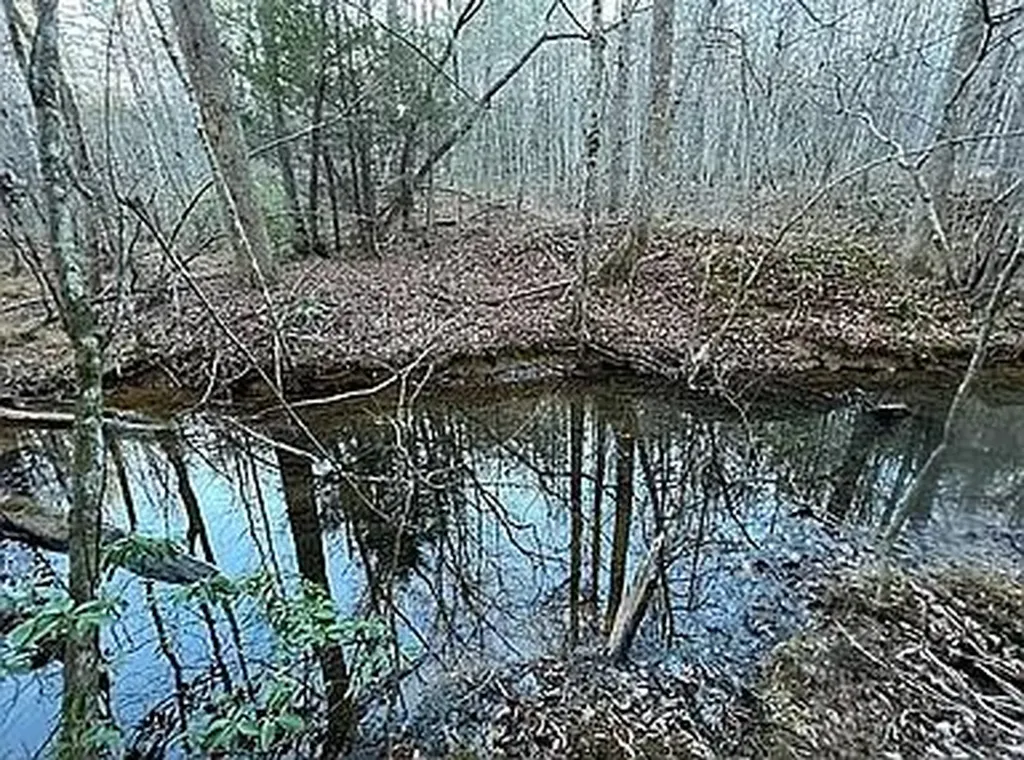 Lot 11 Camp Creek Road Spencer TN 38585