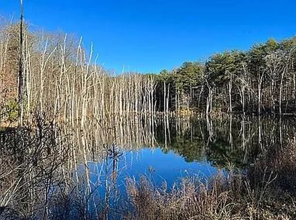Lot 11 Camp Creek Road Spencer TN 38585