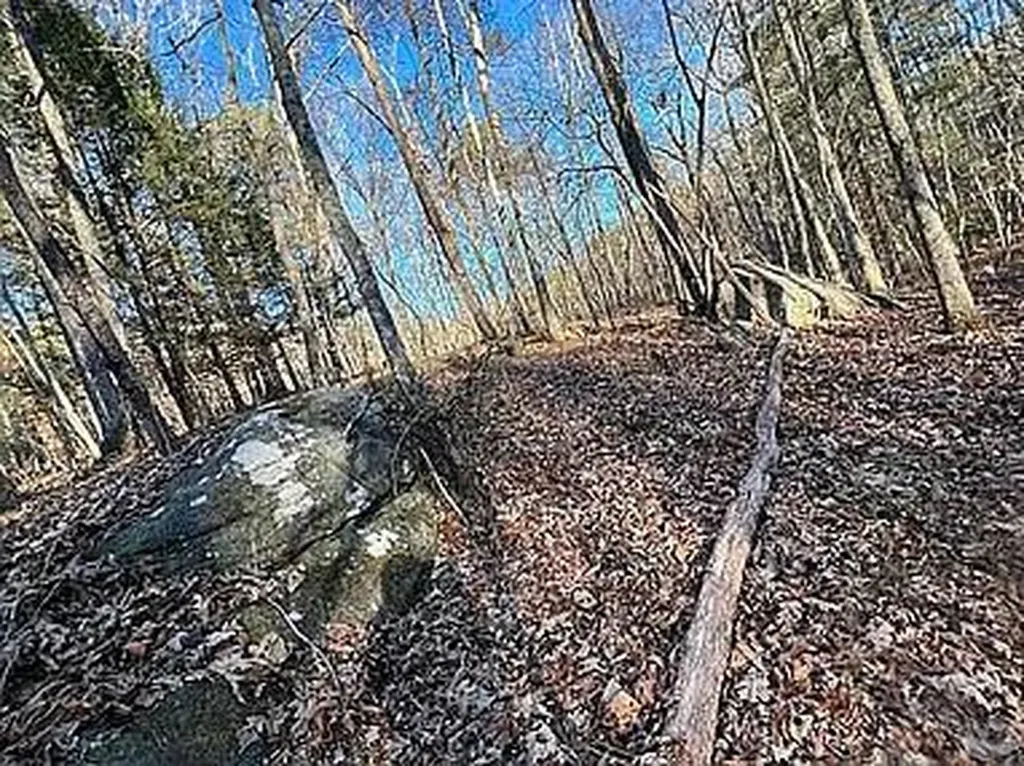 Lot 11 Camp Creek Road Spencer TN 38585