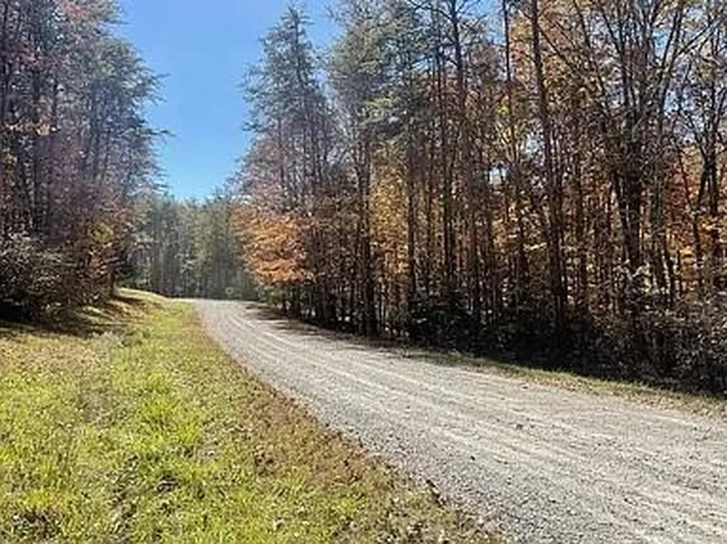 Lot 11 Camp Creek Road Spencer TN 38585