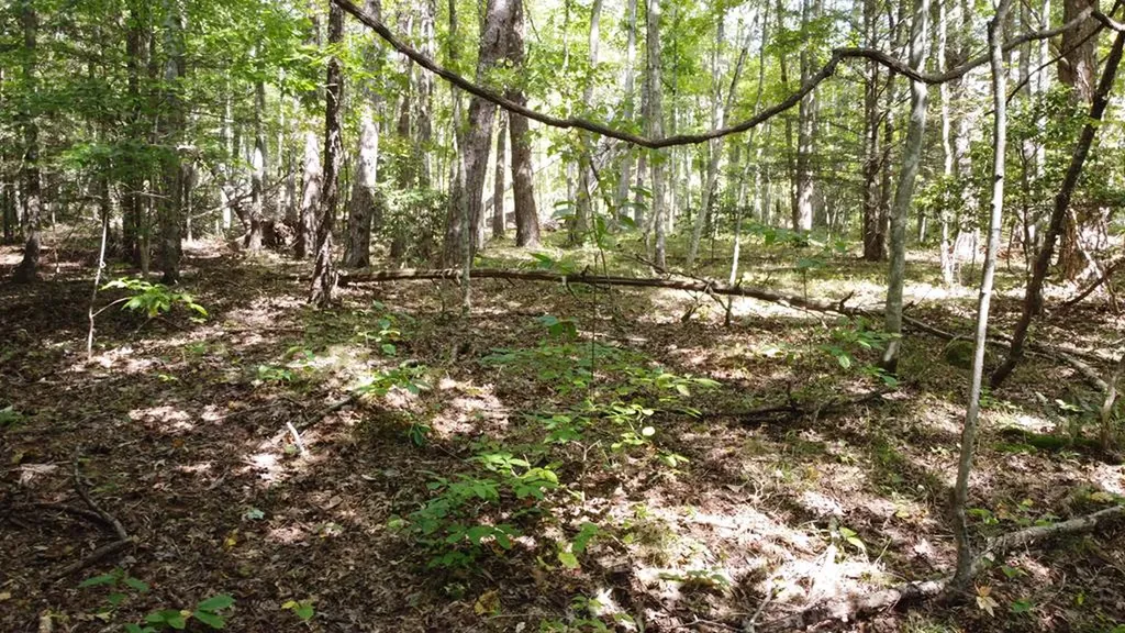 Lot 11 Camp Creek Road Spencer TN 38585