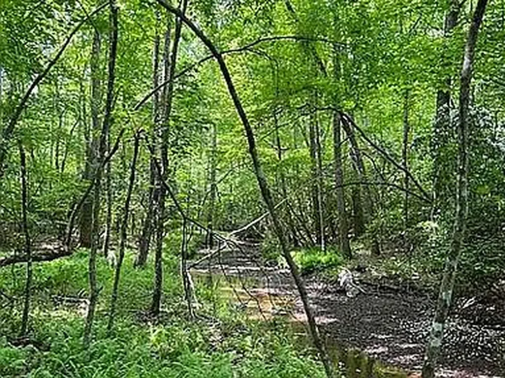Lot 11 Camp Creek Road Spencer TN 38585
