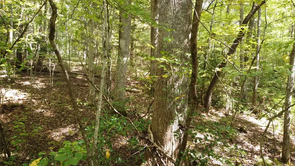 Lot 11 Camp Creek Road Spencer TN 38585