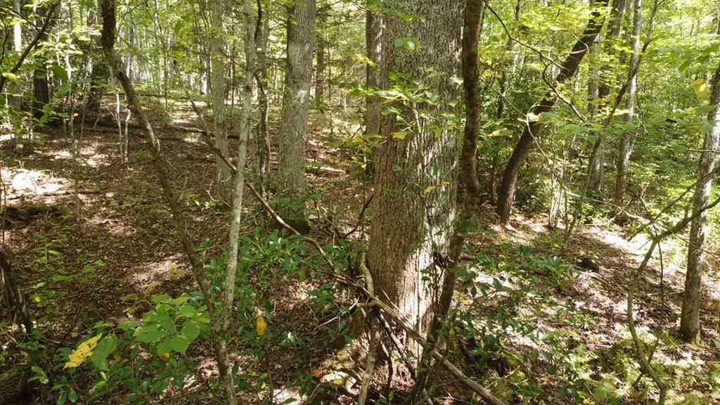 Lot 11 Camp Creek Road Spencer TN 38585