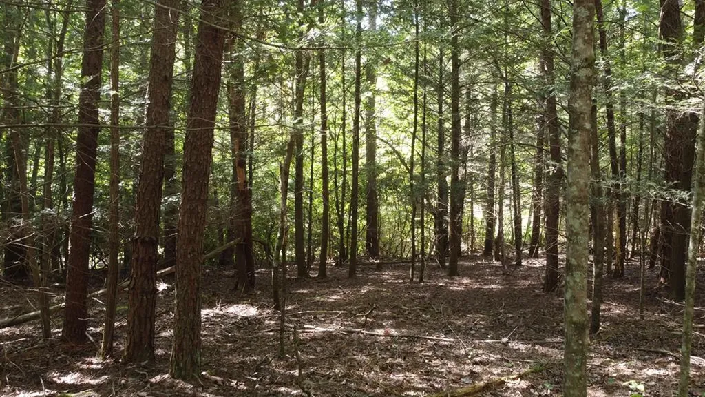 Lot 11 Camp Creek Road Spencer TN 38585