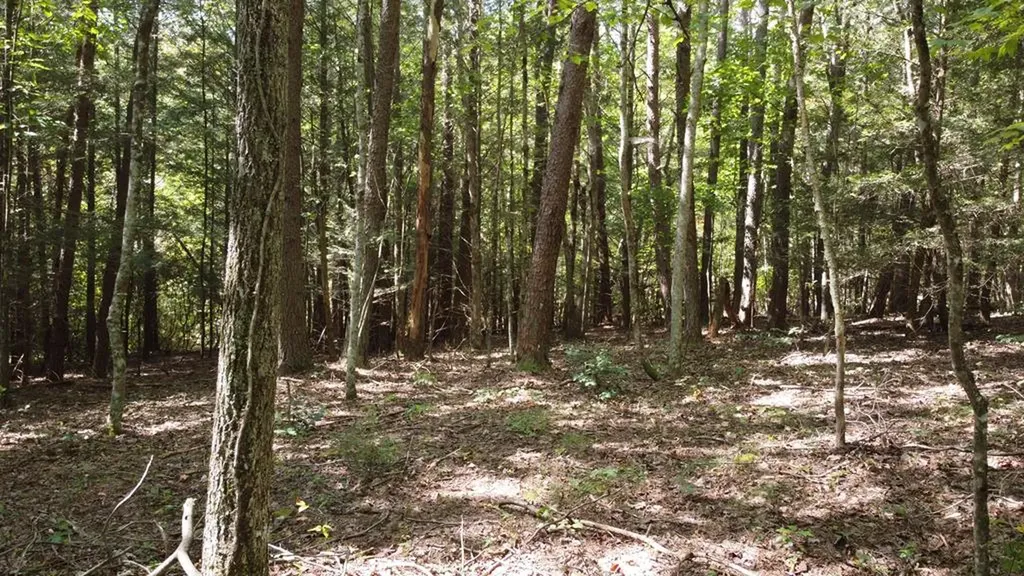 Lot 11 Camp Creek Road Spencer TN 38585