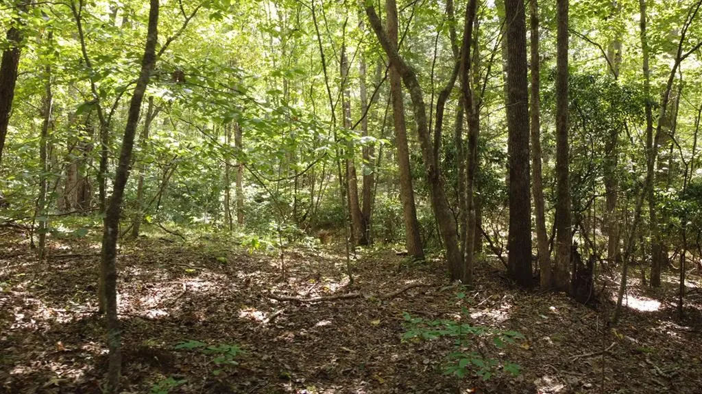 Lot 11 Camp Creek Road Spencer TN 38585