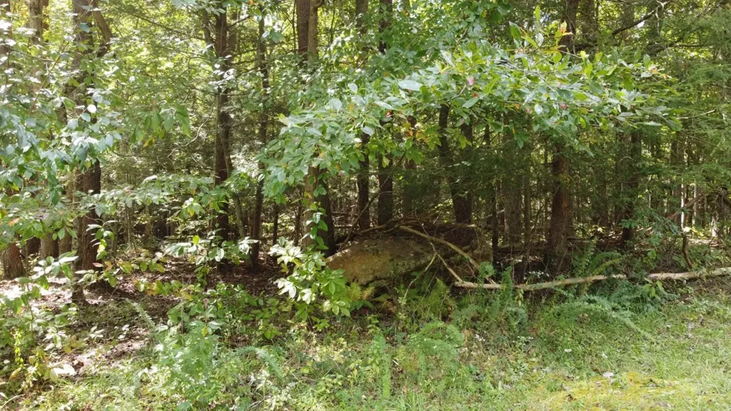 Lot 11 Camp Creek Road Spencer TN 38585