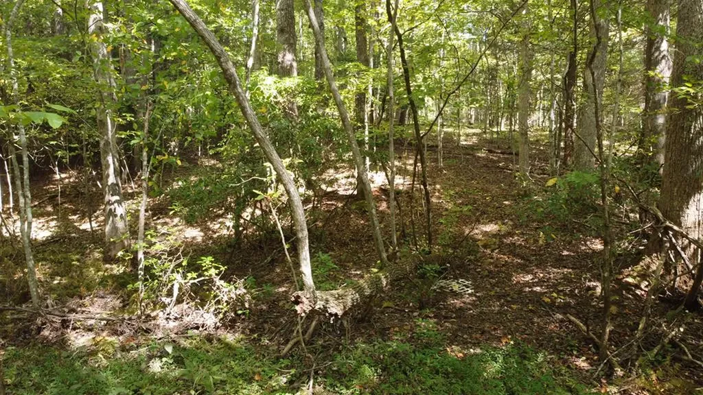 Lot 11 Camp Creek Road Spencer TN 38585