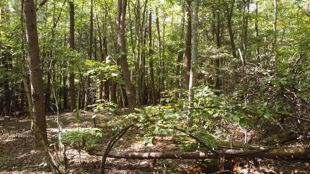 Lot 11 Camp Creek Road Spencer TN 38585