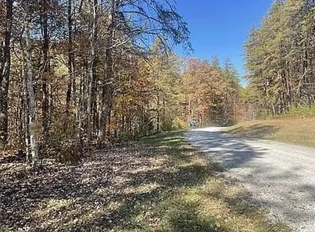 Lot 11 Camp Creek Road Spencer TN 38585