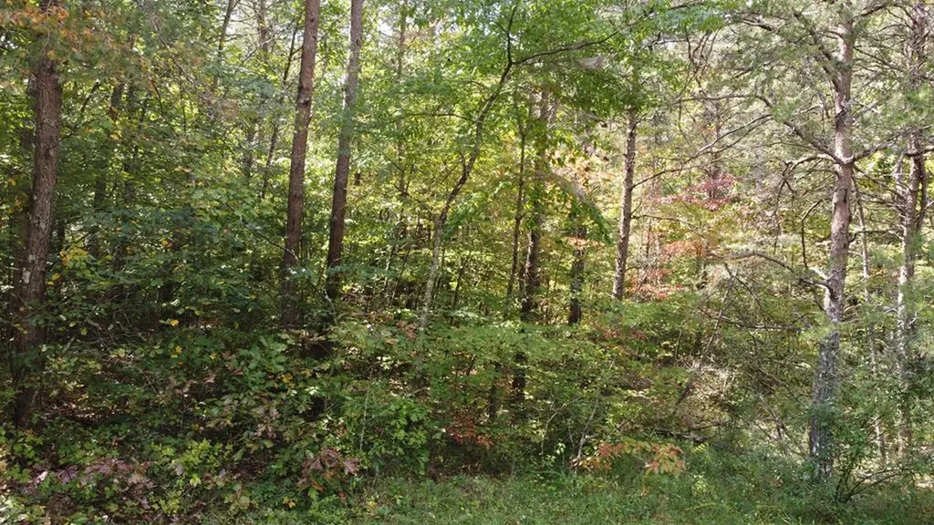 Lot 11 Camp Creek Road Spencer TN 38585