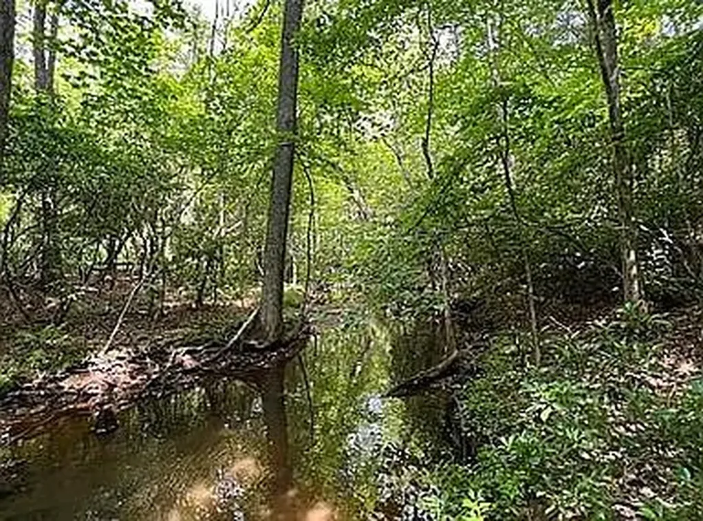 Lot 11 Camp Creek Road Spencer TN 38585