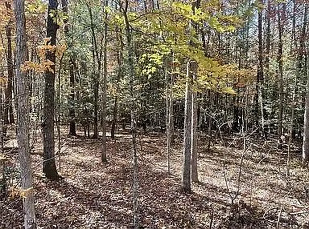 Lot 11 Camp Creek Road Spencer TN 38585