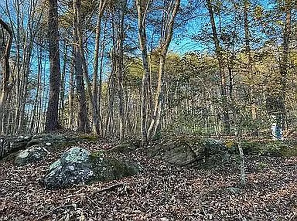 Lot 11 Camp Creek Road Spencer TN 38585