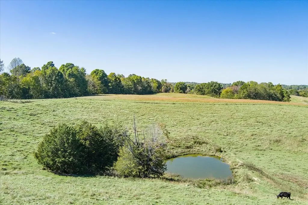 203 Heard Ridge Road Monroe TN 38573