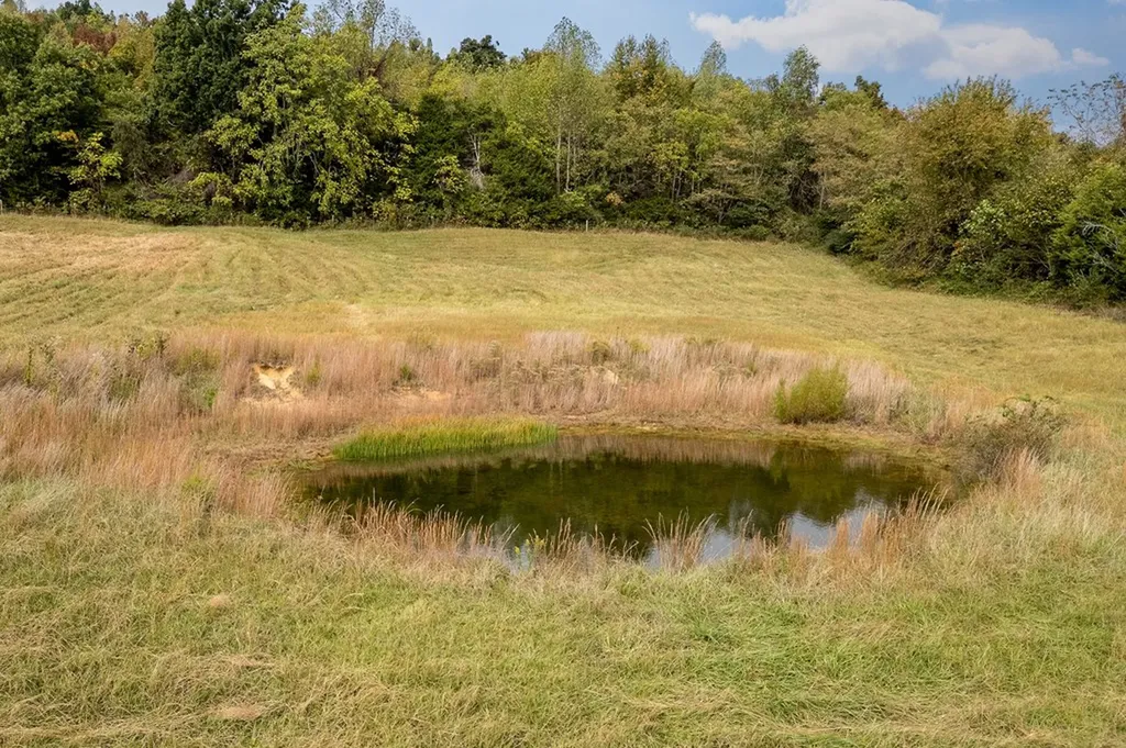 7.5 Ac Jamestown Highway Livingston TN 38570