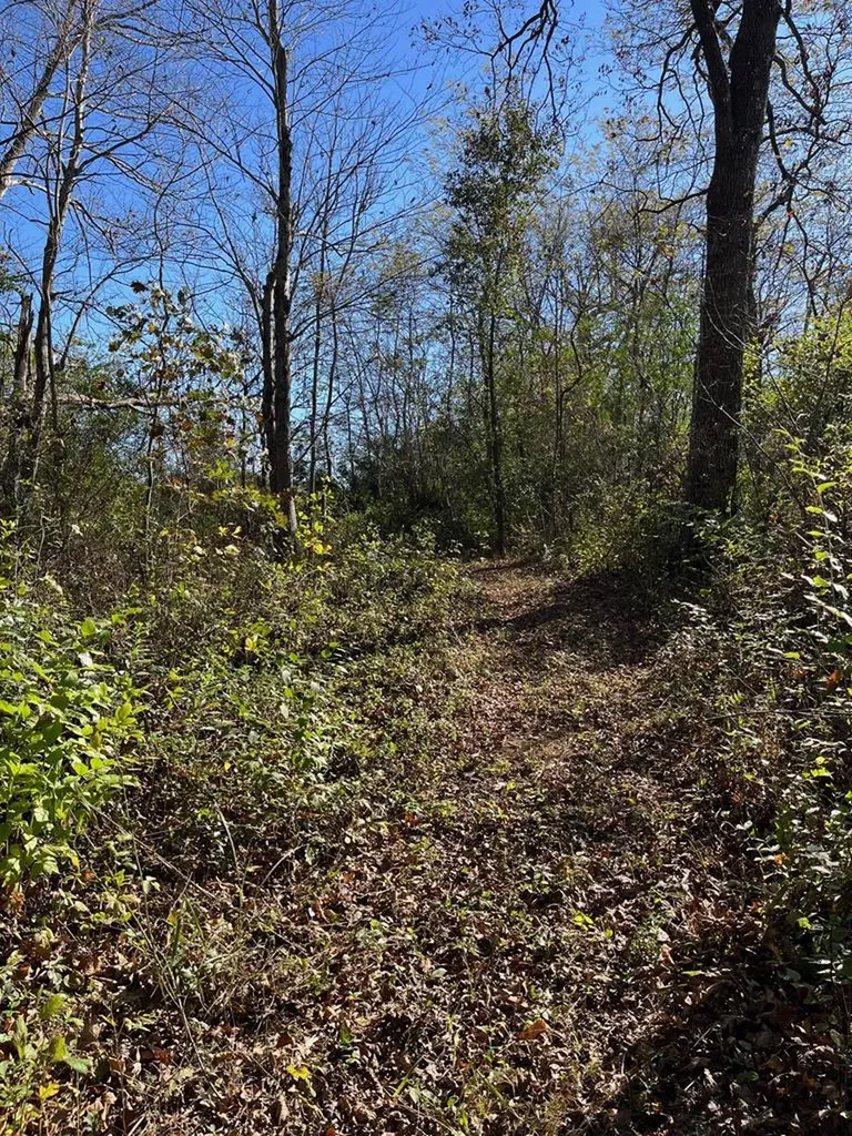 320 Finley Road Crossville TN 38571