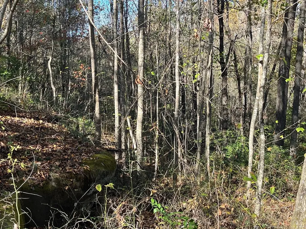 320 Finley Road Crossville TN 38571