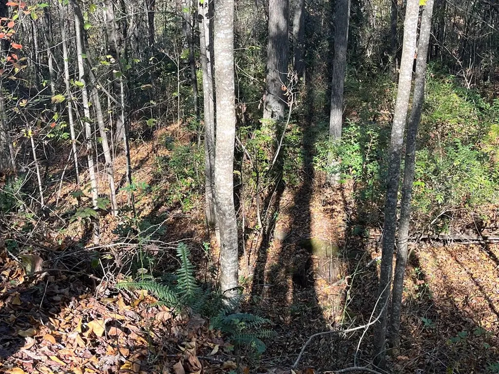 320 Finley Road Crossville TN 38571