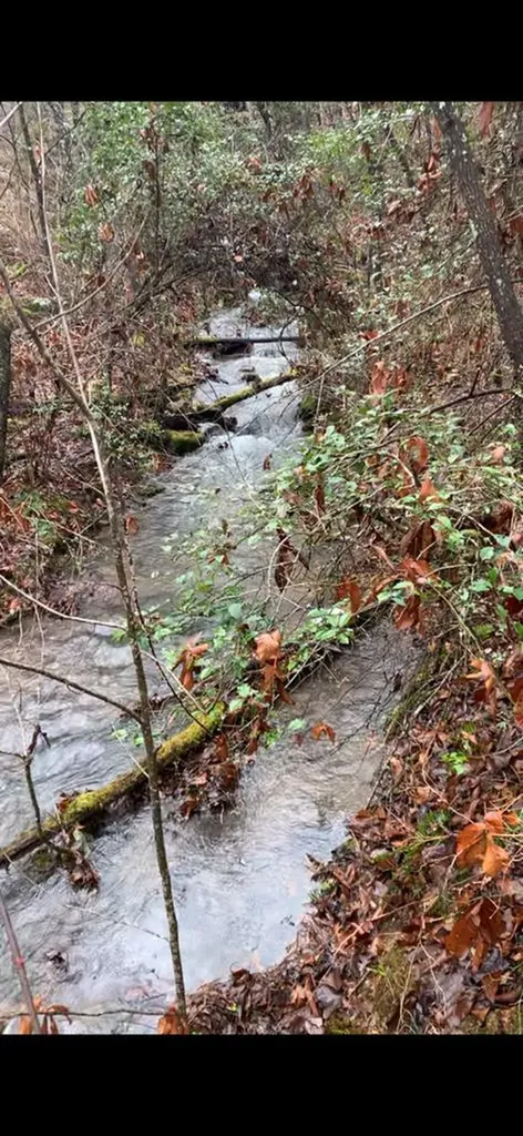 320 Finley Road Crossville TN 38571