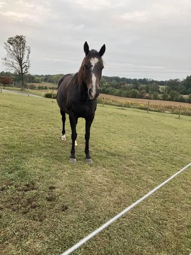 28563 State Route 30 Pikeville TN 37367