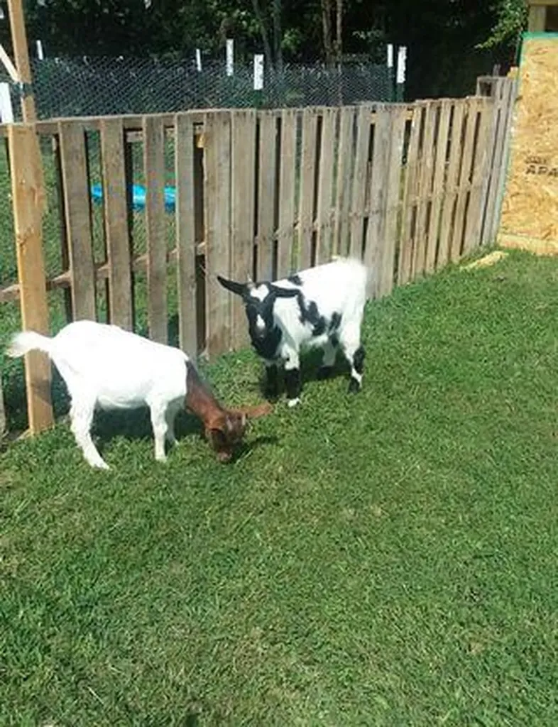 28563 State Route 30 Pikeville TN 37367