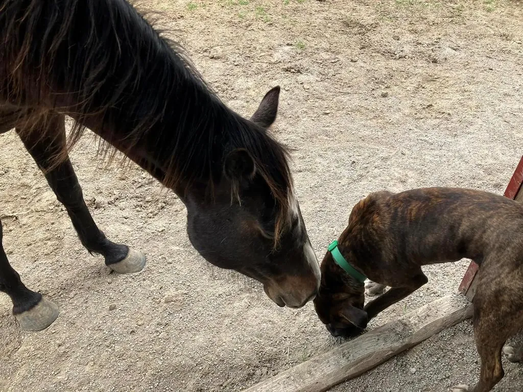 28563 State Route 30 Pikeville TN 37367