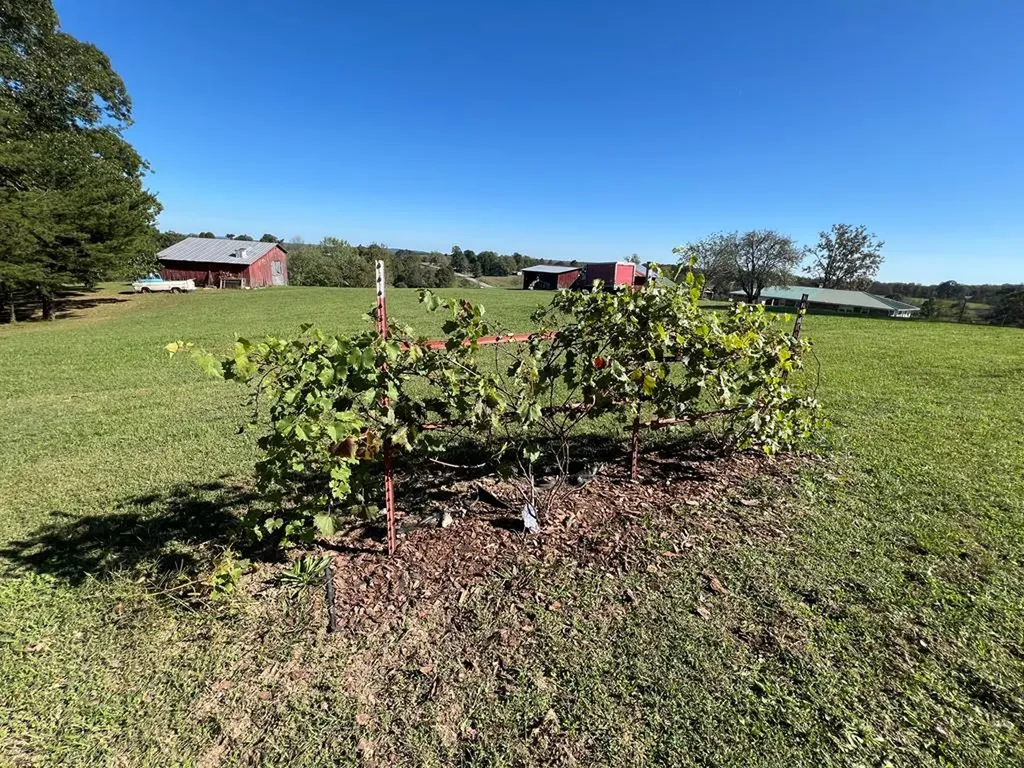 28563 State Route 30 Pikeville TN 37367