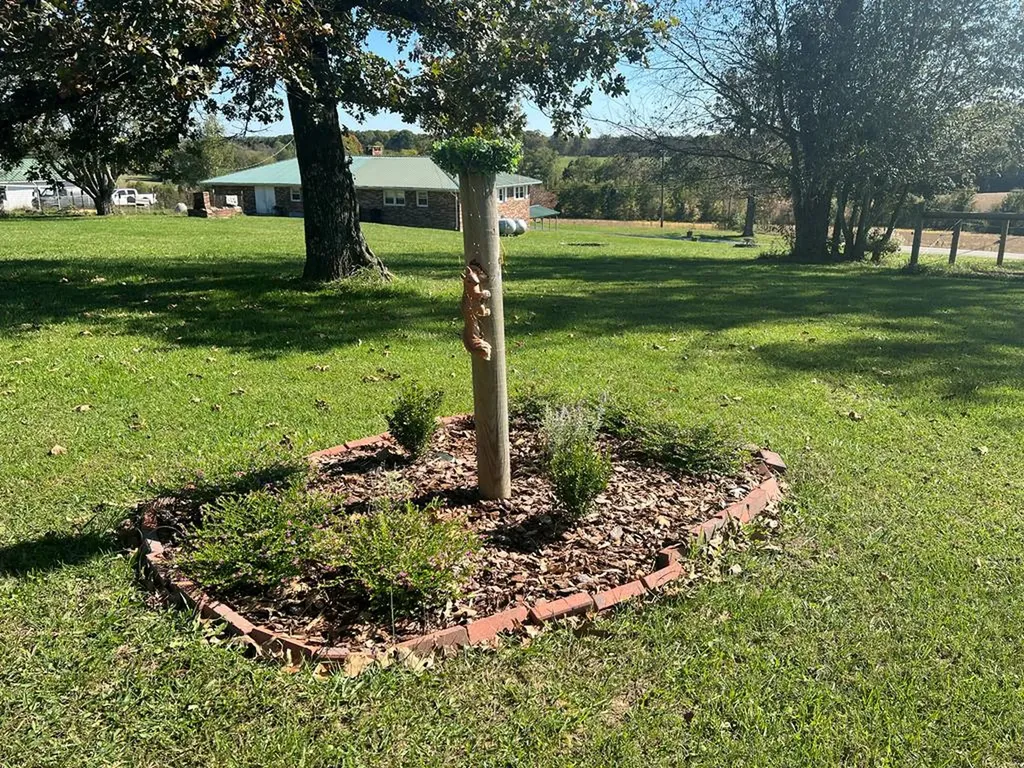 28563 State Route 30 Pikeville TN 37367