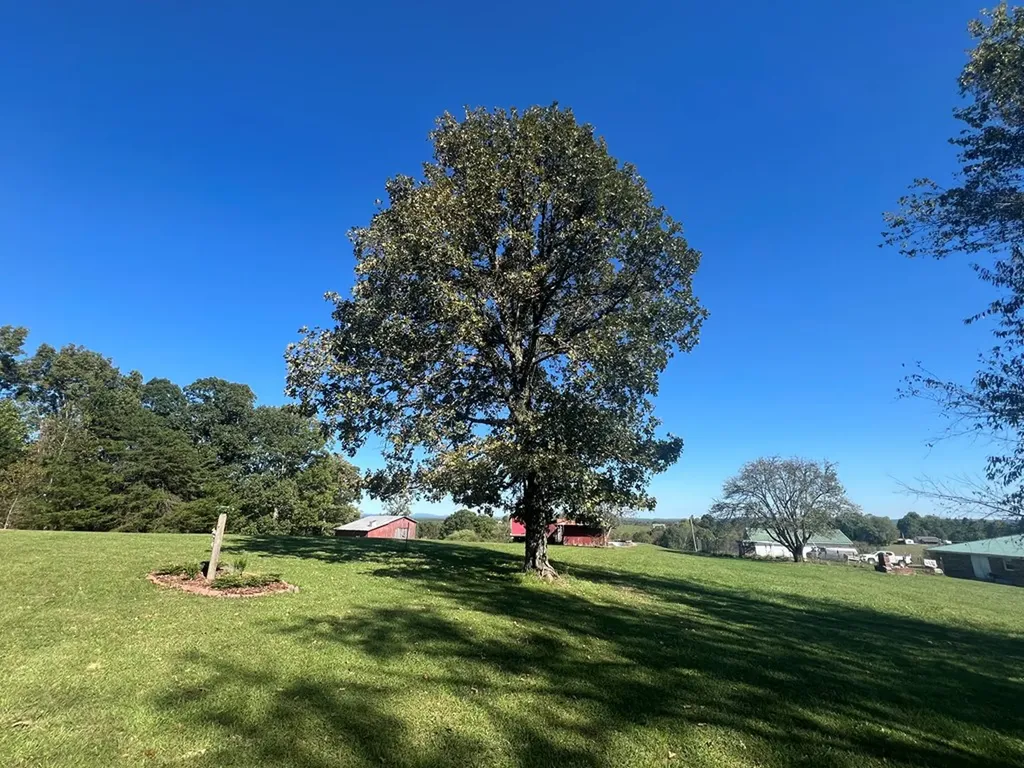 28563 State Route 30 Pikeville TN 37367