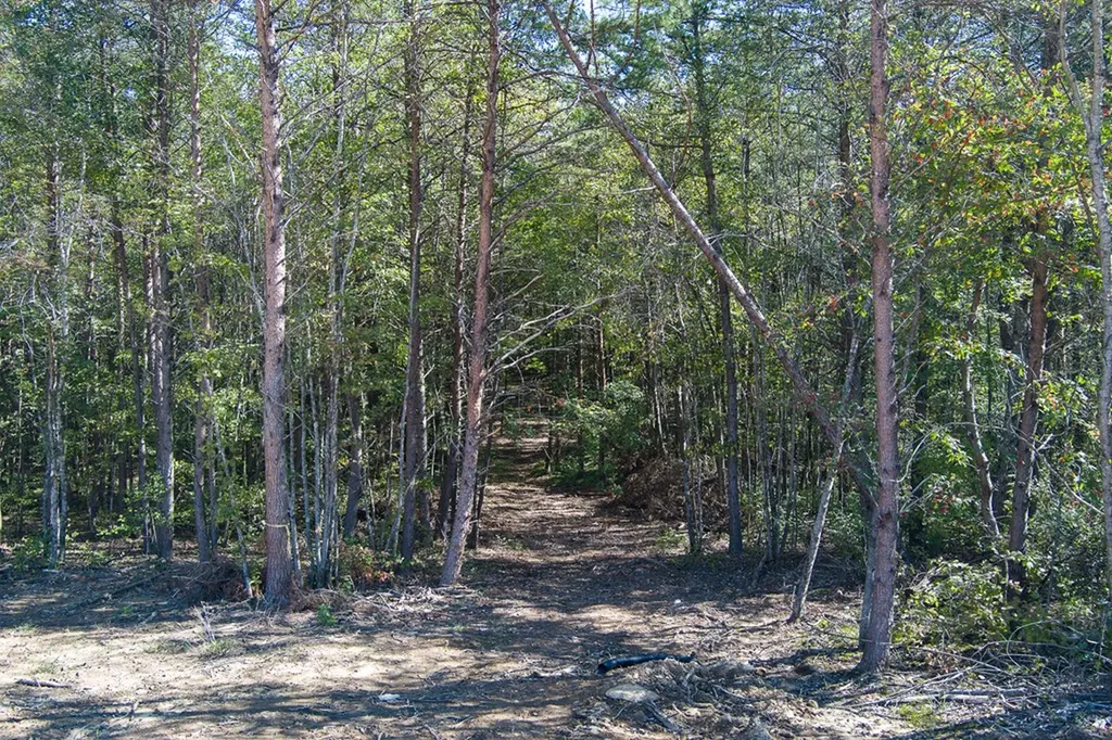 9106 Hebbertsburg Road Crab Orchard TN 37723