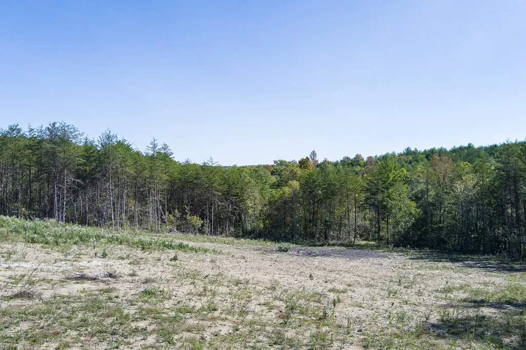 9106 Hebbertsburg Road Crab Orchard TN 37723