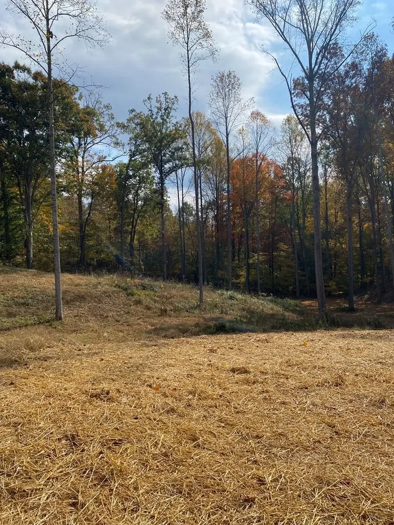 4172 Verble Sherrell Road Cookeville TN 38501