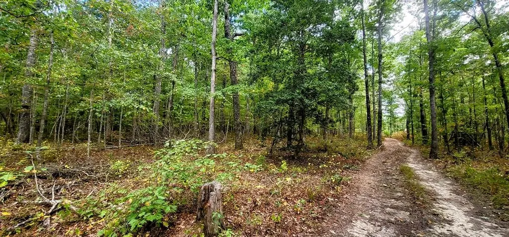 170 Desiree Dunlap TN 37367