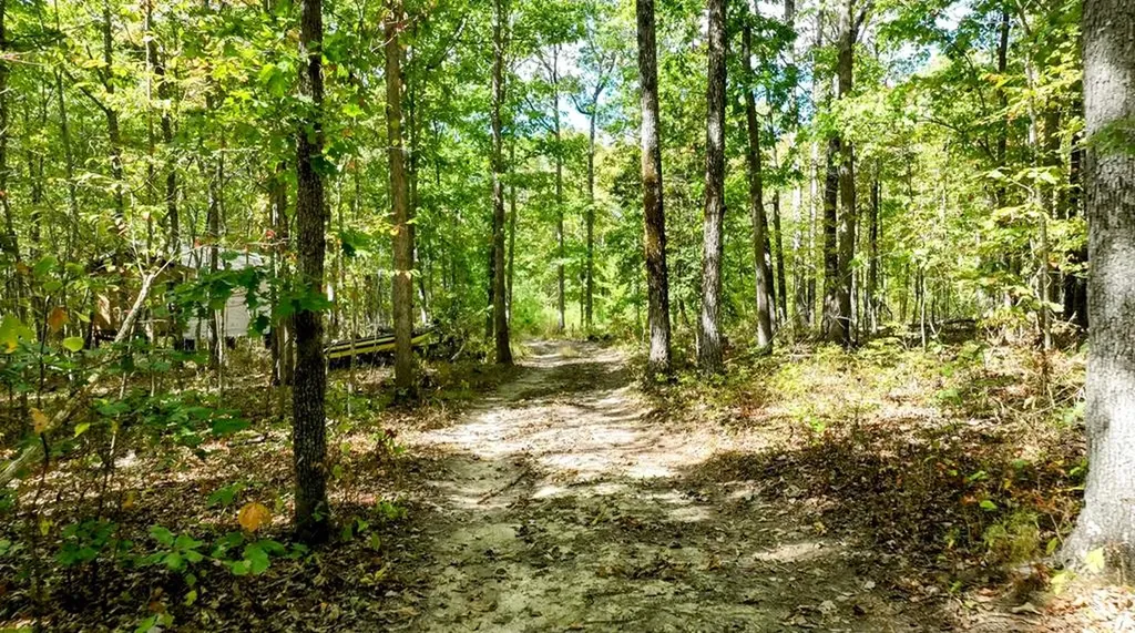 170 Desiree Dunlap TN 37367