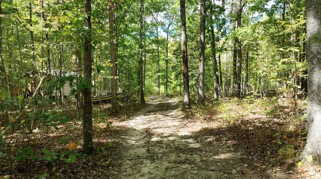 170 Desiree Dunlap TN 37367