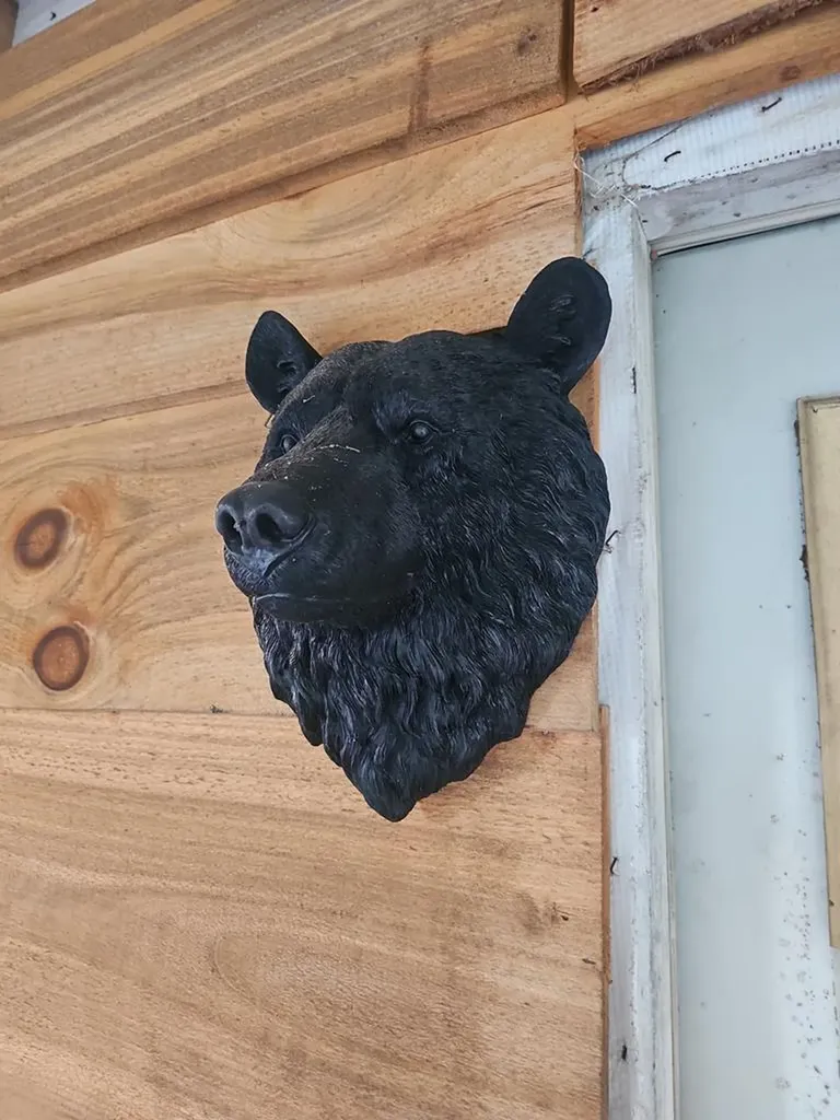 170 Desiree Dunlap TN 37367