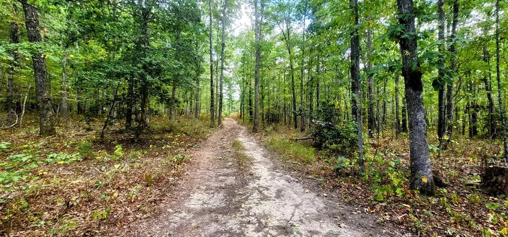 170 Desiree Dunlap TN 37367