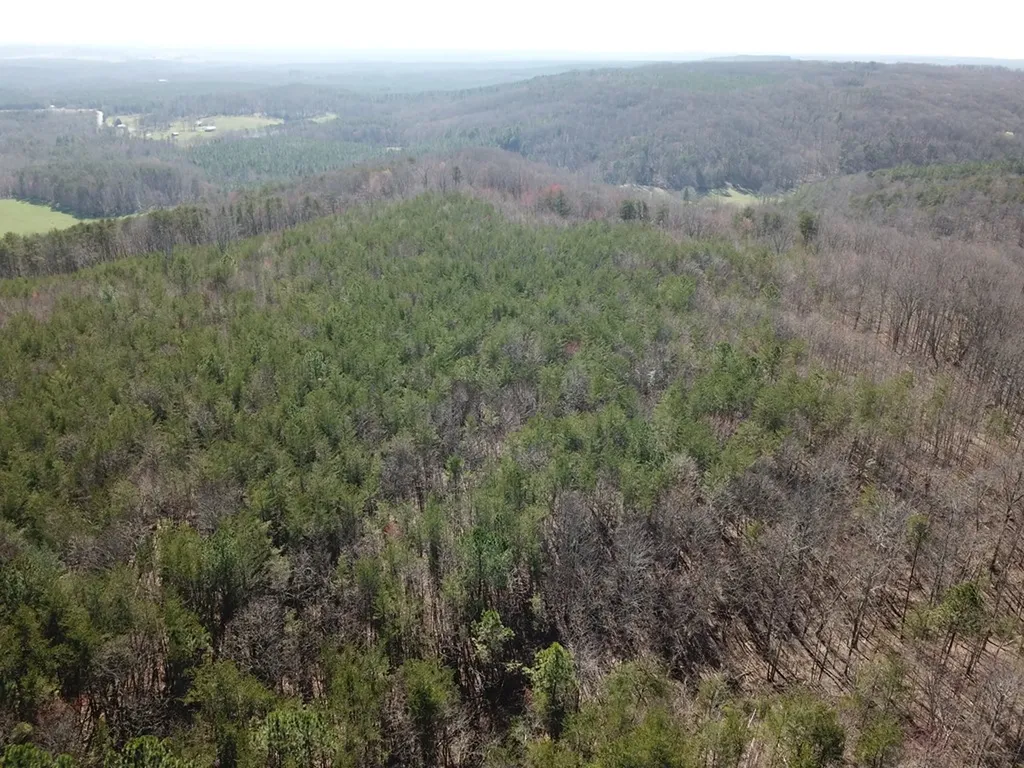 Crossville TN 37854
