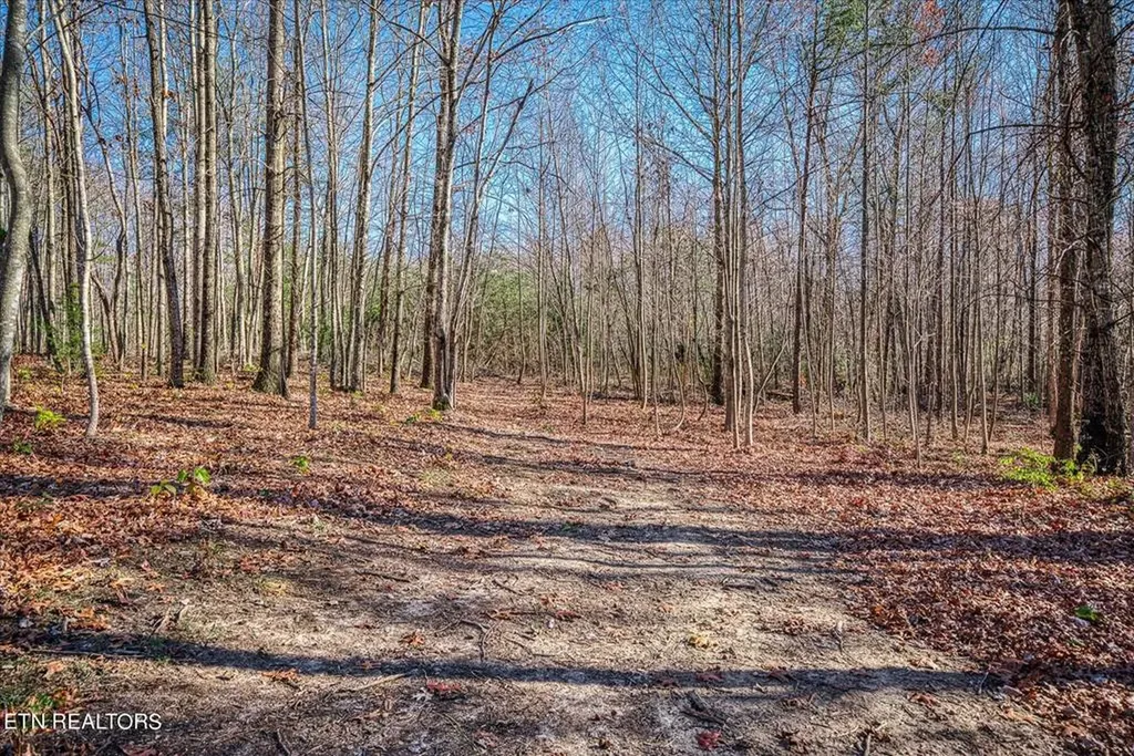 480 Big Piney Loop Wilder TN 38589