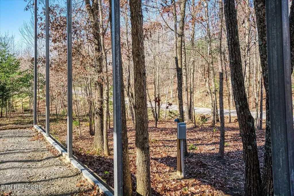 480 Big Piney Loop Wilder TN 38589