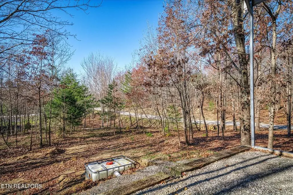 480 Big Piney Loop Wilder TN 38589
