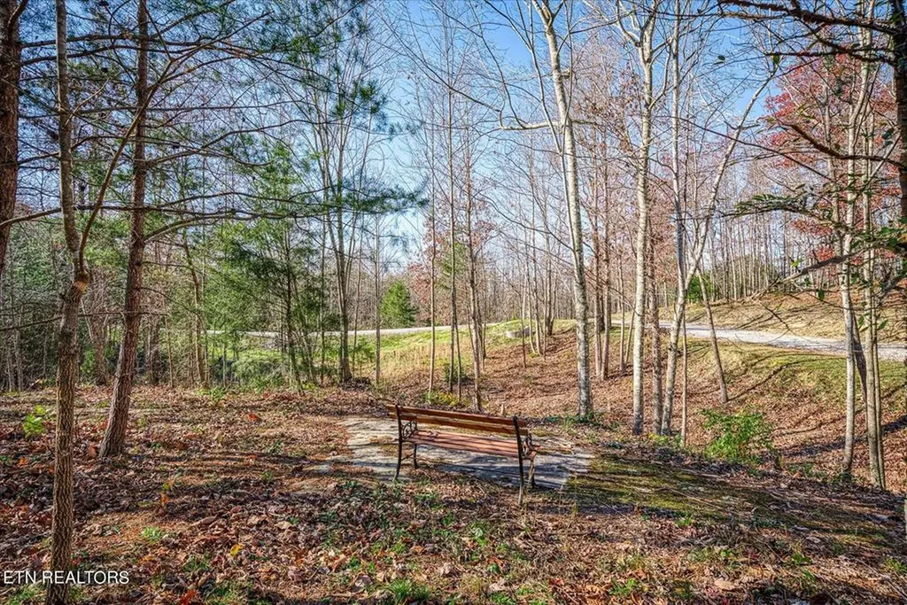 480 Big Piney Loop Wilder TN 38589