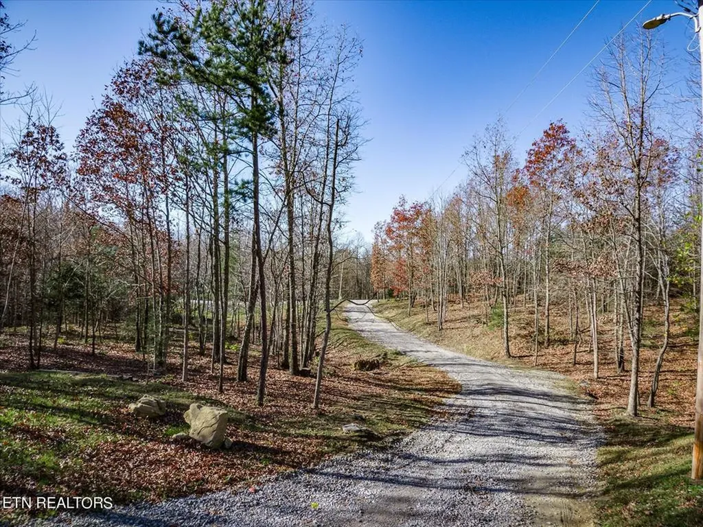 480 Big Piney Loop Wilder TN 38589