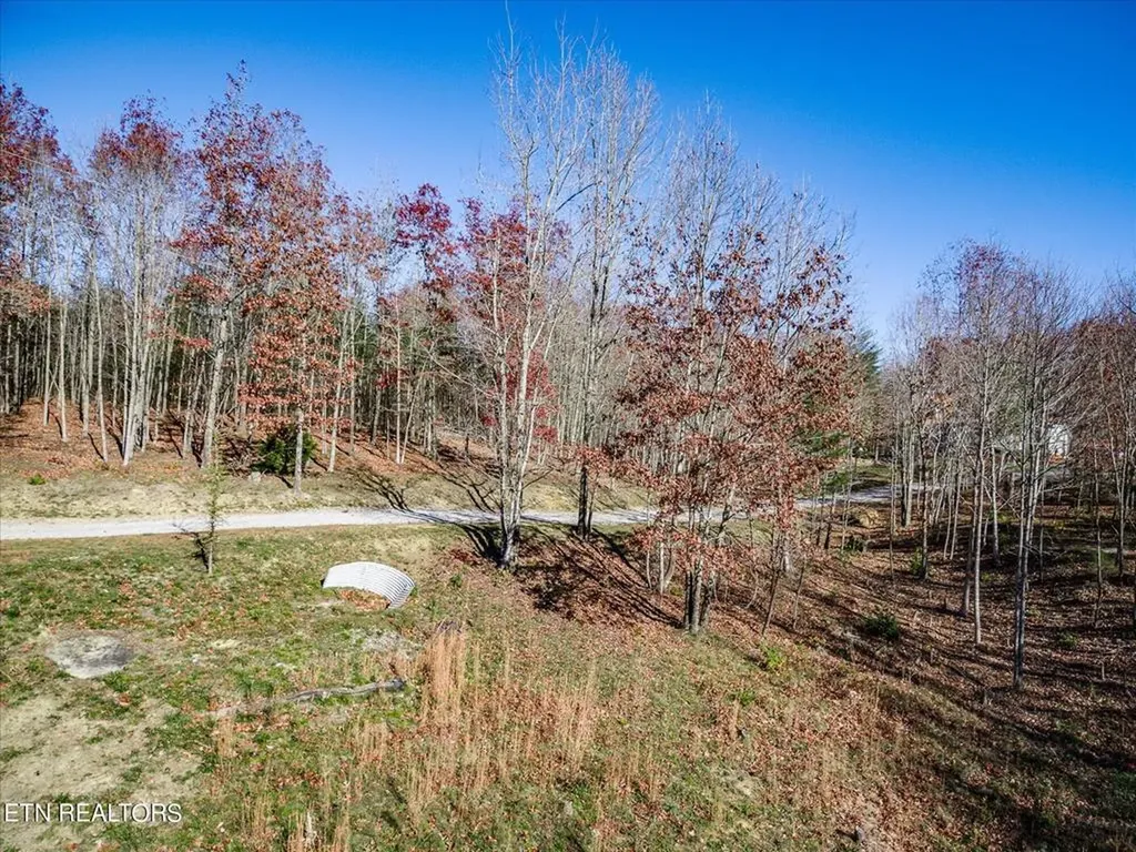 480 Big Piney Loop Wilder TN 38589