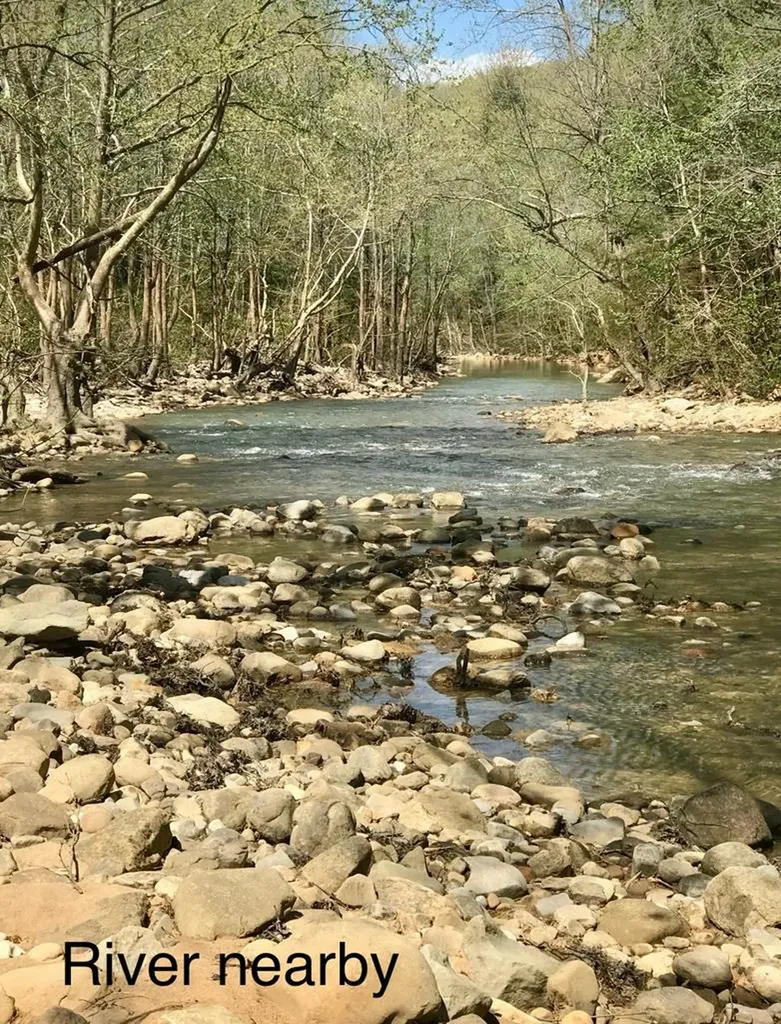 480 Big Piney Loop Wilder TN 38589