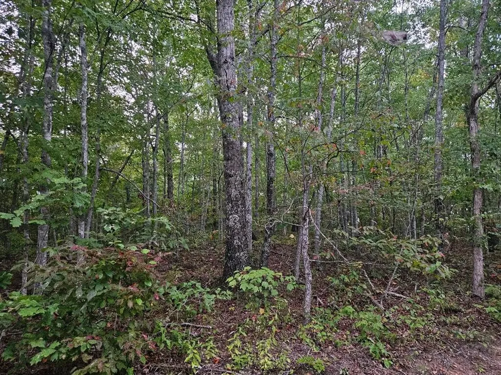 00 Sells Cemetery Road Wilder TN 38589