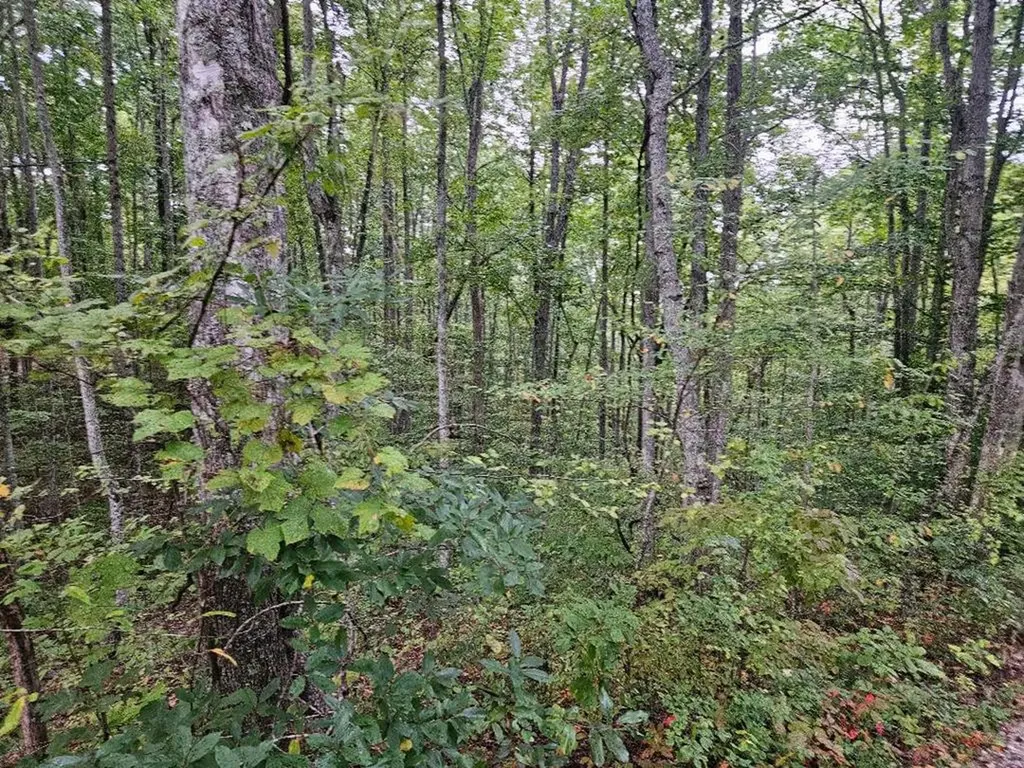 00 Sells Cemetery Road Wilder TN 38589