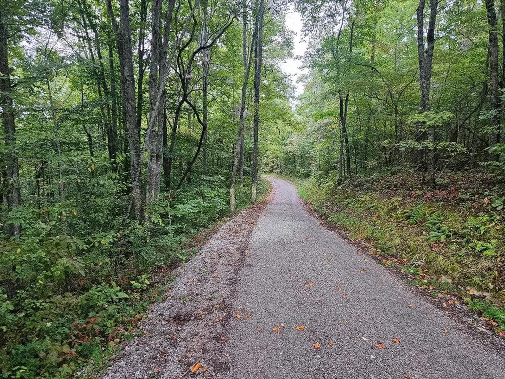 00 Sells Cemetery Road Wilder TN 38589